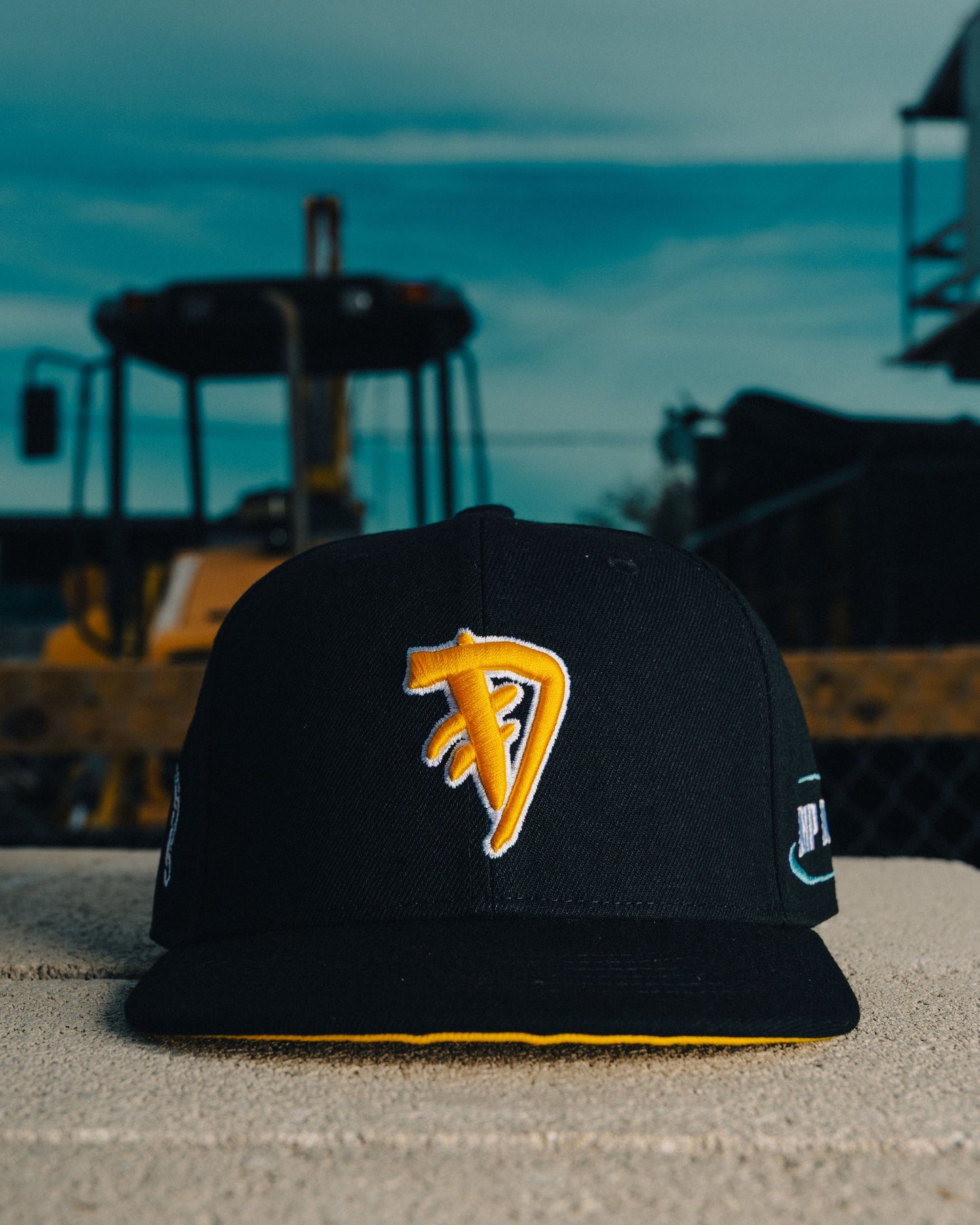 *DANGER SNAPBACK ⚠️