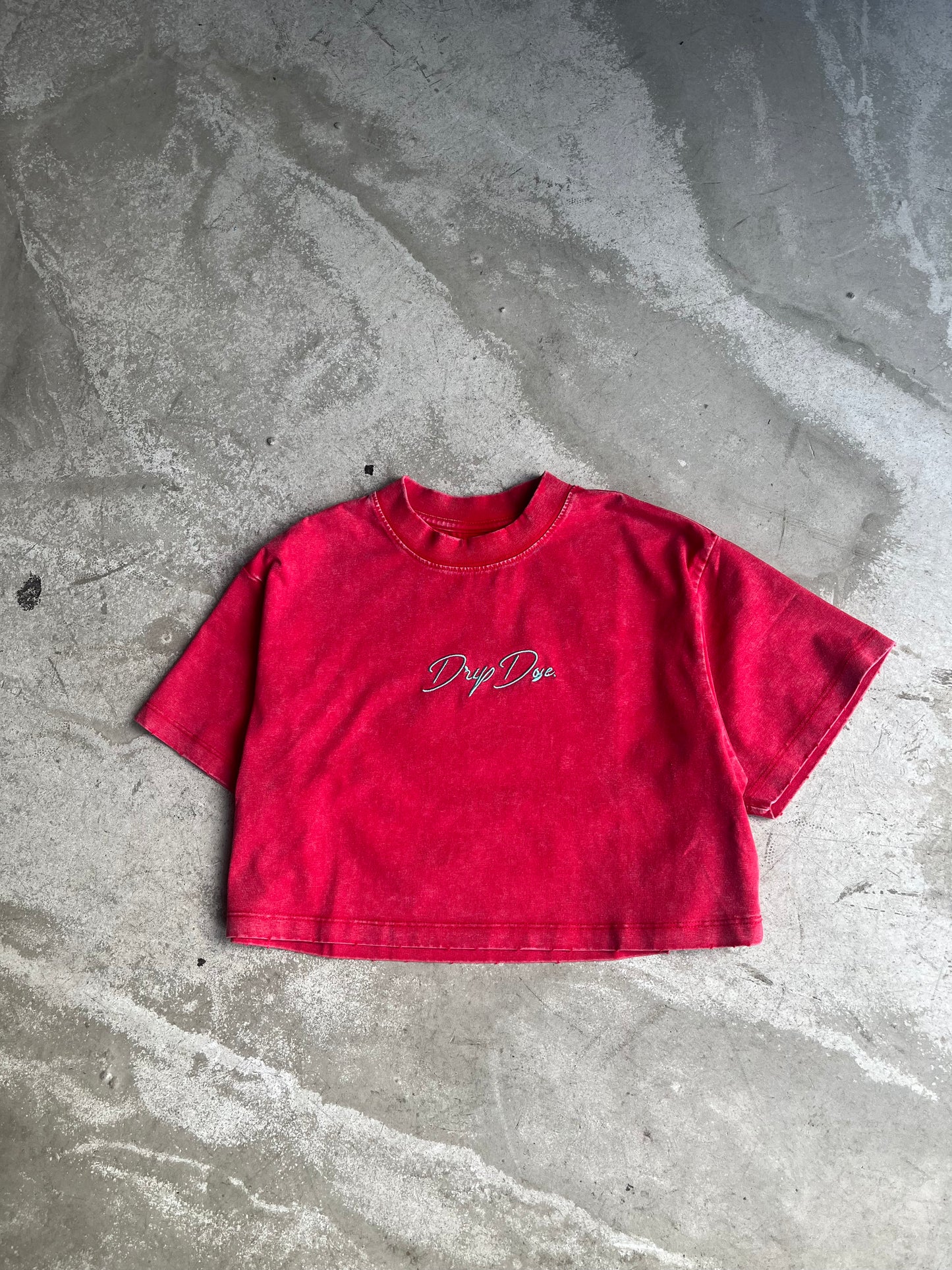 Cursive Logo Embroidered Crop Top (Red/BabyBlue)