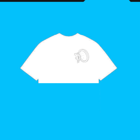 *BLUEPRINT CROP TOP