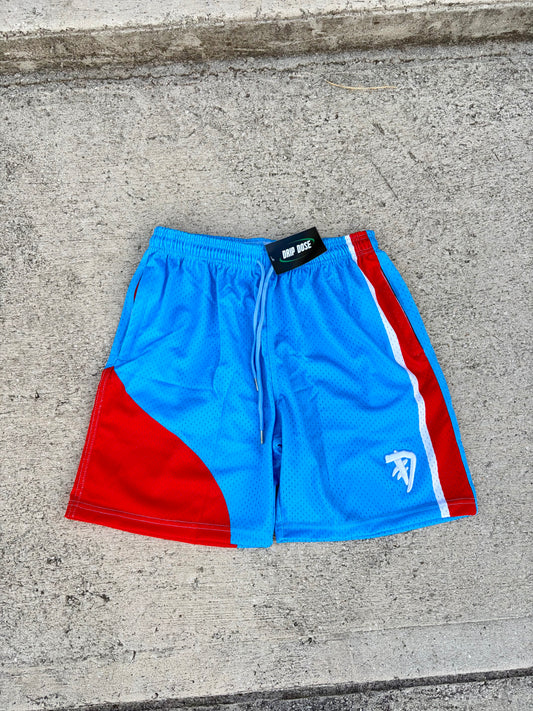 *FLAG MESH SHORTS