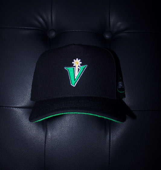 *LA V* Snapback 🏔️